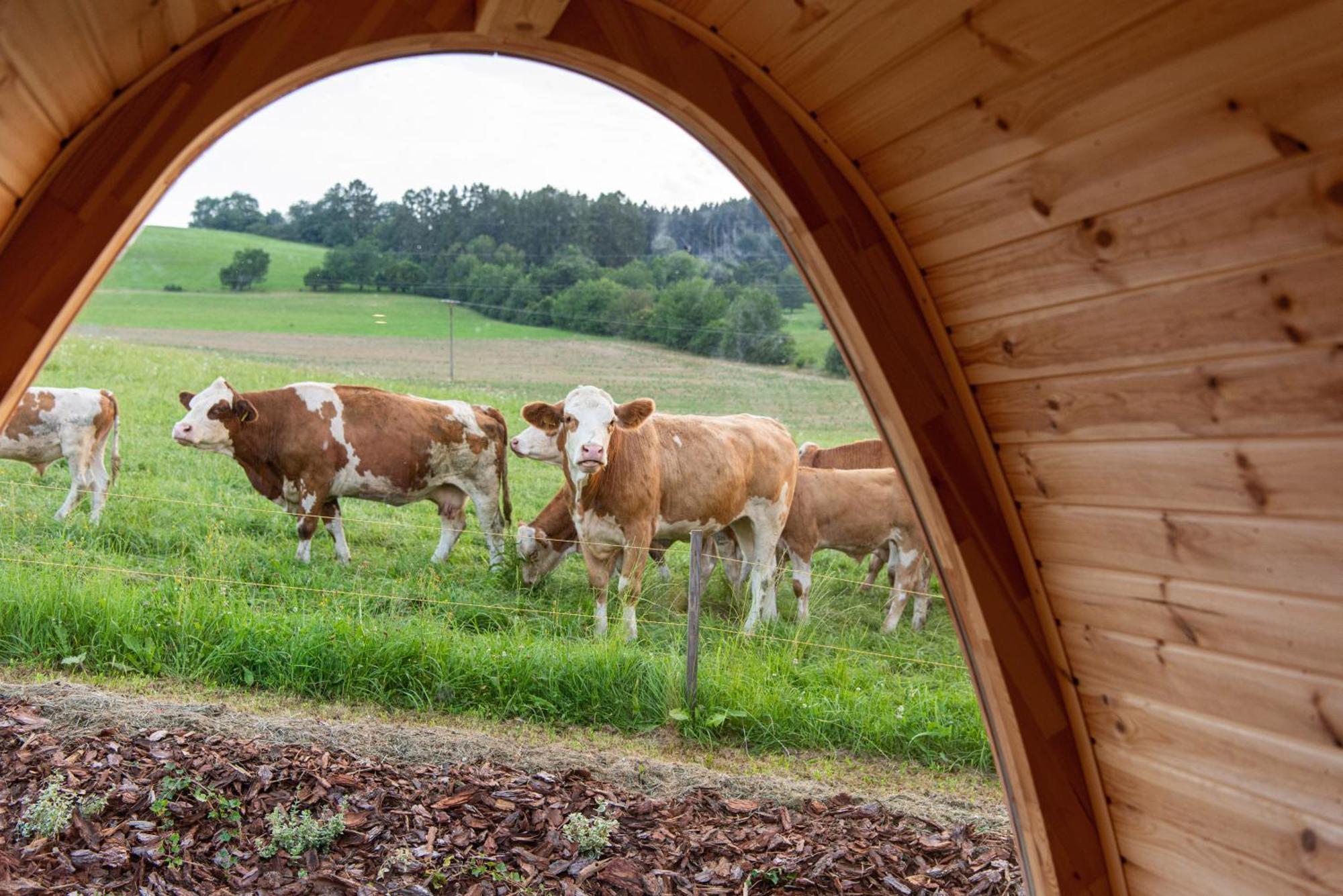 La Boheme Lodges And Glamping Vrhavec Екстер'єр фото